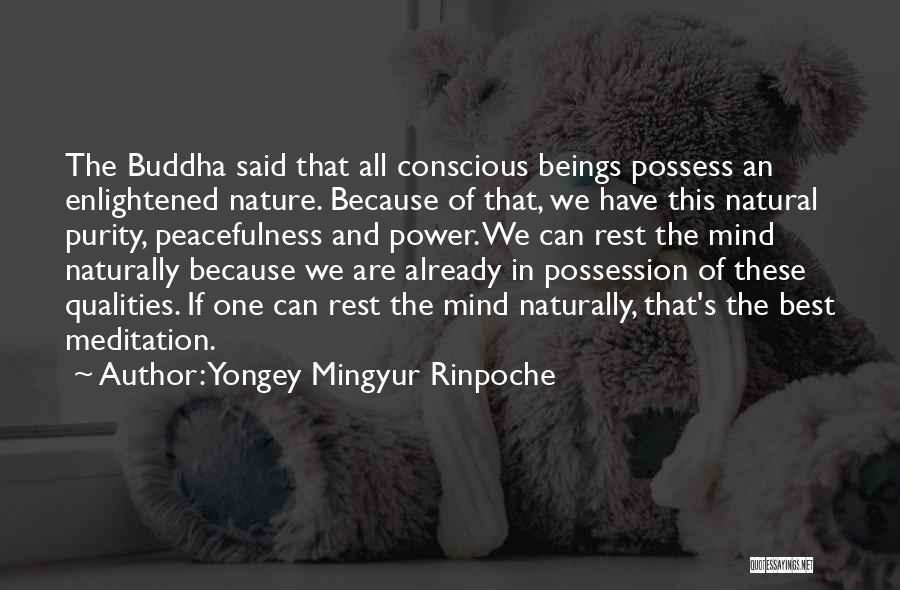 Yongey Mingyur Rinpoche Quotes: The Buddha Said That All Conscious Beings Possess An Enlightened Nature. Because Of That, We Have This Natural Purity, Peacefulness
