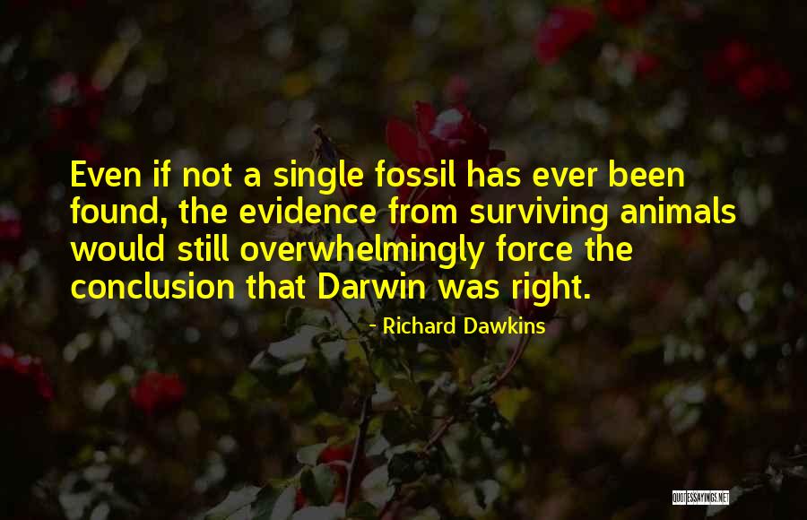 80th Quotes By Richard Dawkins 80th Quotes By Richard Dawkins