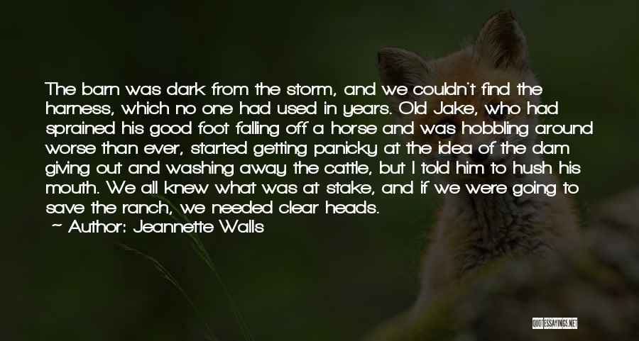 Jeannette Walls Quotes: The Barn Was Dark From The Storm, And We Couldn't Find The Harness, Which No One Had Used In Years.