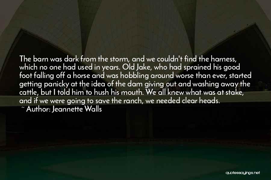 Jeannette Walls Quotes: The Barn Was Dark From The Storm, And We Couldn't Find The Harness, Which No One Had Used In Years.