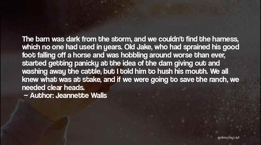 Jeannette Walls Quotes: The Barn Was Dark From The Storm, And We Couldn't Find The Harness, Which No One Had Used In Years.