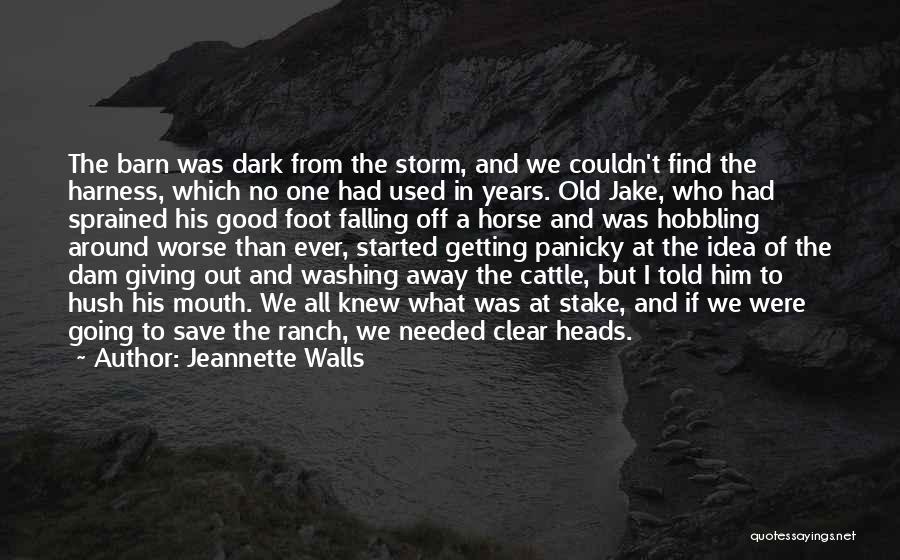 Jeannette Walls Quotes: The Barn Was Dark From The Storm, And We Couldn't Find The Harness, Which No One Had Used In Years.