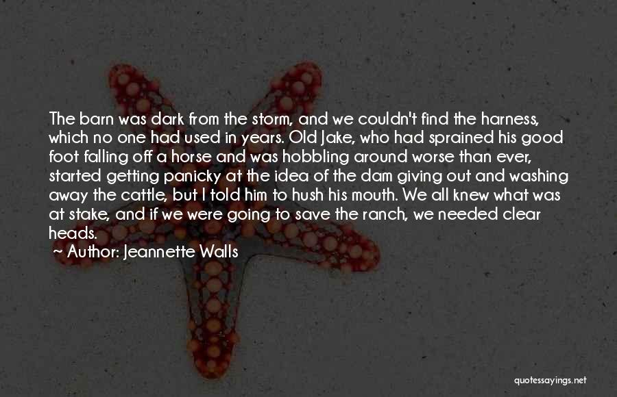 Jeannette Walls Quotes: The Barn Was Dark From The Storm, And We Couldn't Find The Harness, Which No One Had Used In Years.