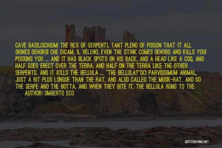 Umberto Eco Quotes: Cave Basilischium! The Rex Of Serpenti, Tant Pleno Of Poison That It All Shines Dehors! Che Dicam, Il Veleno, Even