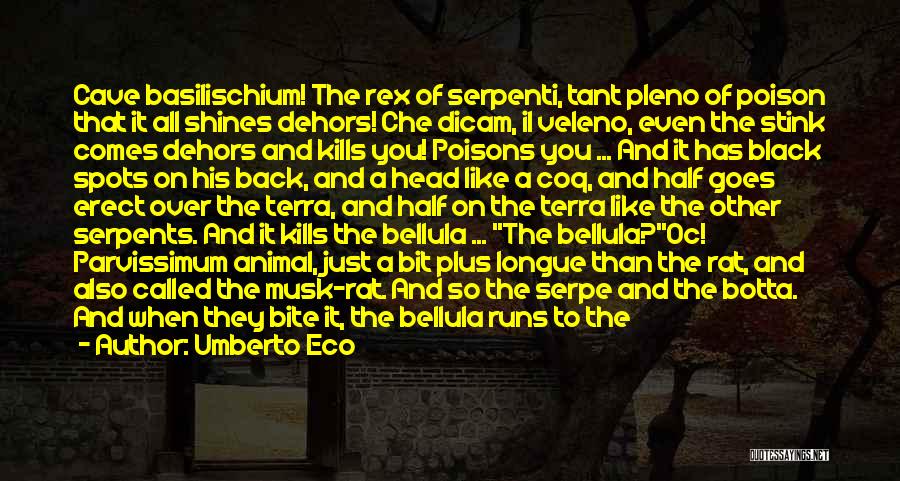 Umberto Eco Quotes: Cave Basilischium! The Rex Of Serpenti, Tant Pleno Of Poison That It All Shines Dehors! Che Dicam, Il Veleno, Even