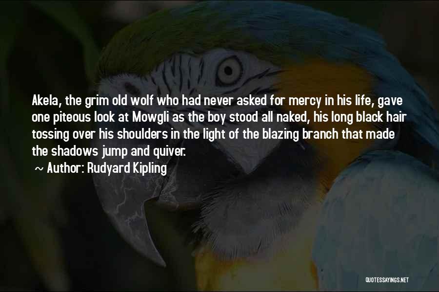 Rudyard Kipling Quotes: Akela, The Grim Old Wolf Who Had Never Asked For Mercy In His Life, Gave One Piteous Look At Mowgli