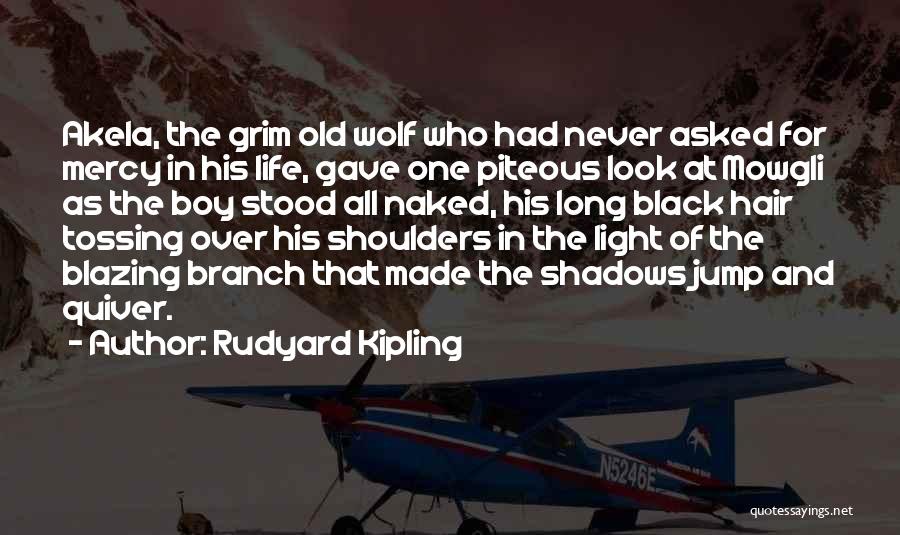Rudyard Kipling Quotes: Akela, The Grim Old Wolf Who Had Never Asked For Mercy In His Life, Gave One Piteous Look At Mowgli