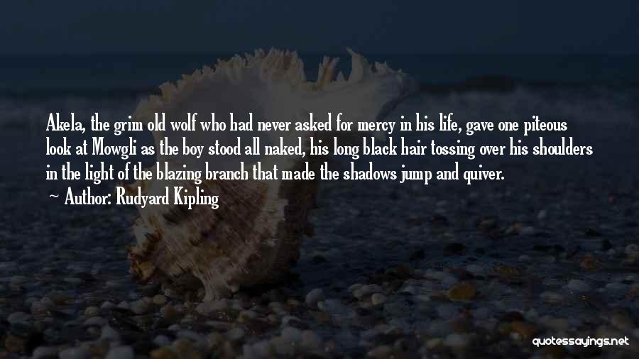 Rudyard Kipling Quotes: Akela, The Grim Old Wolf Who Had Never Asked For Mercy In His Life, Gave One Piteous Look At Mowgli