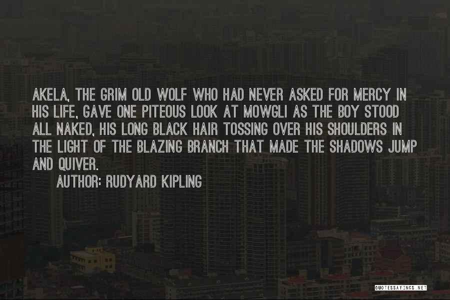 Rudyard Kipling Quotes: Akela, The Grim Old Wolf Who Had Never Asked For Mercy In His Life, Gave One Piteous Look At Mowgli