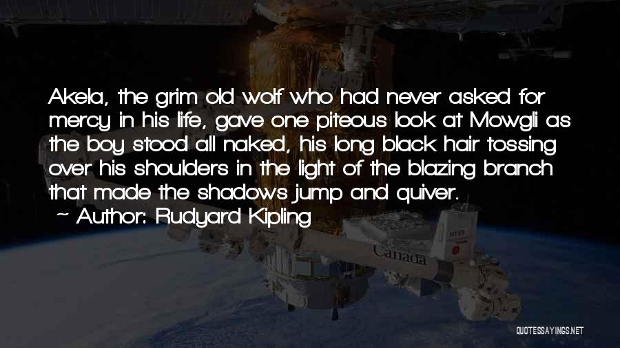 Rudyard Kipling Quotes: Akela, The Grim Old Wolf Who Had Never Asked For Mercy In His Life, Gave One Piteous Look At Mowgli