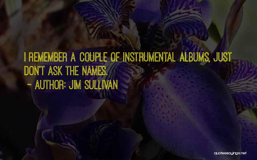 Jim Sullivan Quotes: I Remember A Couple Of Instrumental Albums, Just Don't Ask The Names.