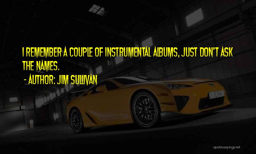 Jim Sullivan Quotes: I Remember A Couple Of Instrumental Albums, Just Don't Ask The Names.