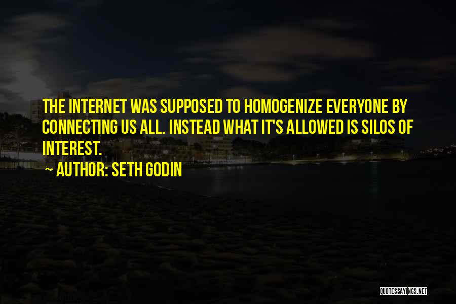 Seth Godin Quotes: The Internet Was Supposed To Homogenize Everyone By Connecting Us All. Instead What It's Allowed Is Silos Of Interest.