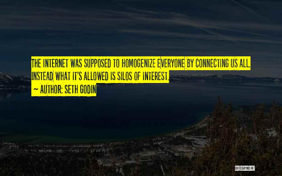 Seth Godin Quotes: The Internet Was Supposed To Homogenize Everyone By Connecting Us All. Instead What It's Allowed Is Silos Of Interest.