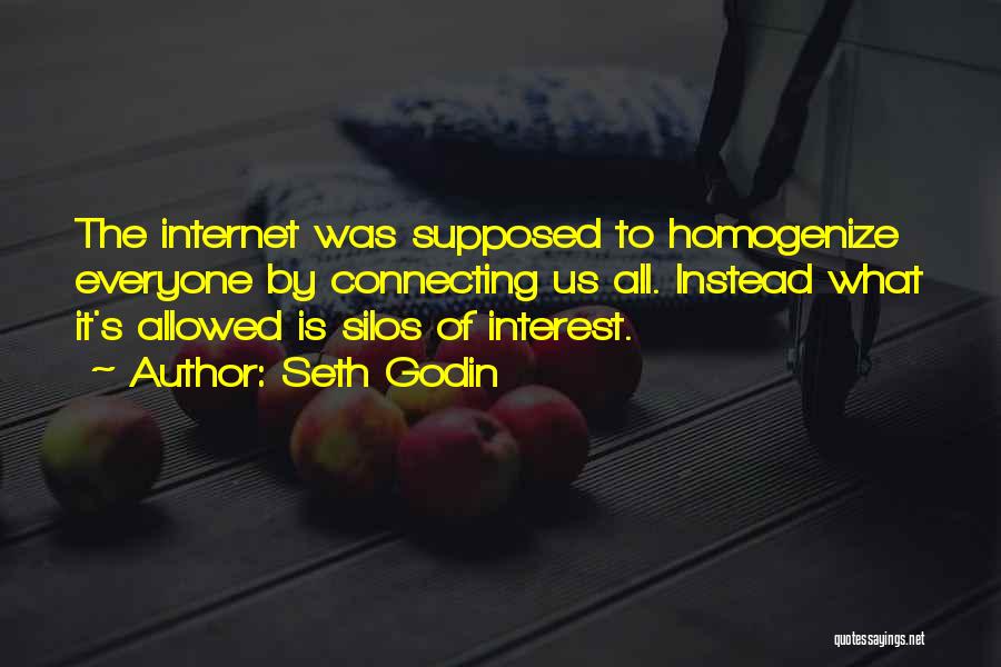 Seth Godin Quotes: The Internet Was Supposed To Homogenize Everyone By Connecting Us All. Instead What It's Allowed Is Silos Of Interest.