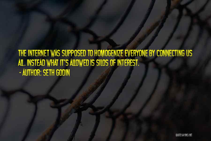 Seth Godin Quotes: The Internet Was Supposed To Homogenize Everyone By Connecting Us All. Instead What It's Allowed Is Silos Of Interest.