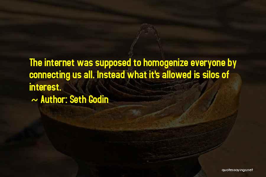 Seth Godin Quotes: The Internet Was Supposed To Homogenize Everyone By Connecting Us All. Instead What It's Allowed Is Silos Of Interest.