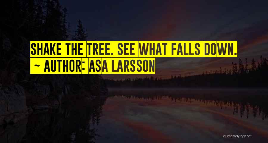 Asa Larsson Quotes: Shake The Tree. See What Falls Down.