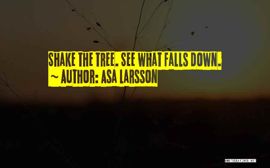 Asa Larsson Quotes: Shake The Tree. See What Falls Down.