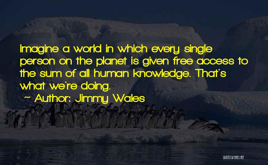 Jimmy Wales Quotes: Imagine A World In Which Every Single Person On The Planet Is Given Free Access To The Sum Of All