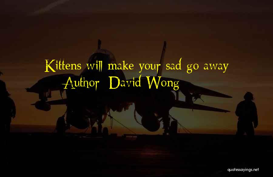 David Wong Quotes: Kittens Will Make Your Sad Go Away