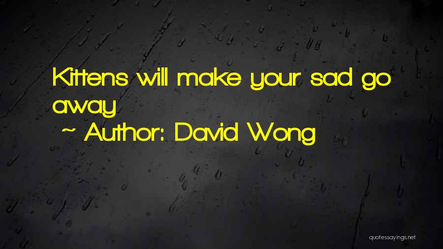 David Wong Quotes: Kittens Will Make Your Sad Go Away
