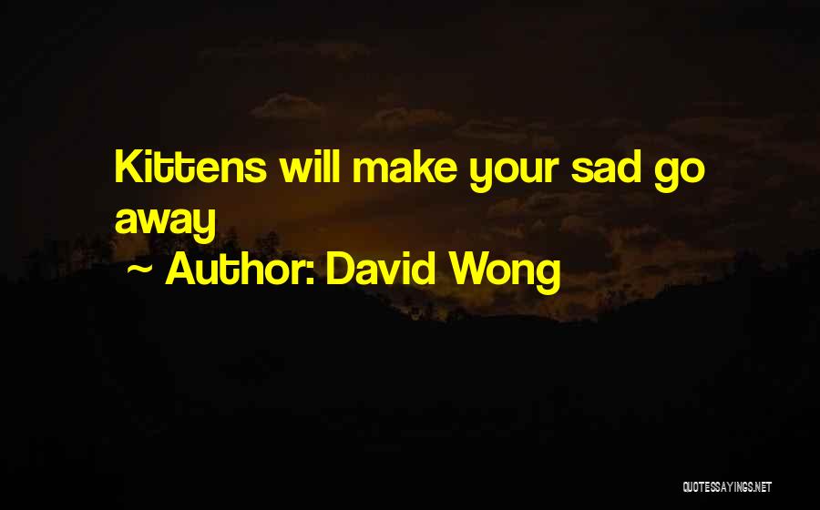 David Wong Quotes: Kittens Will Make Your Sad Go Away