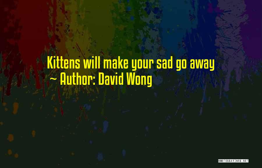 David Wong Quotes: Kittens Will Make Your Sad Go Away