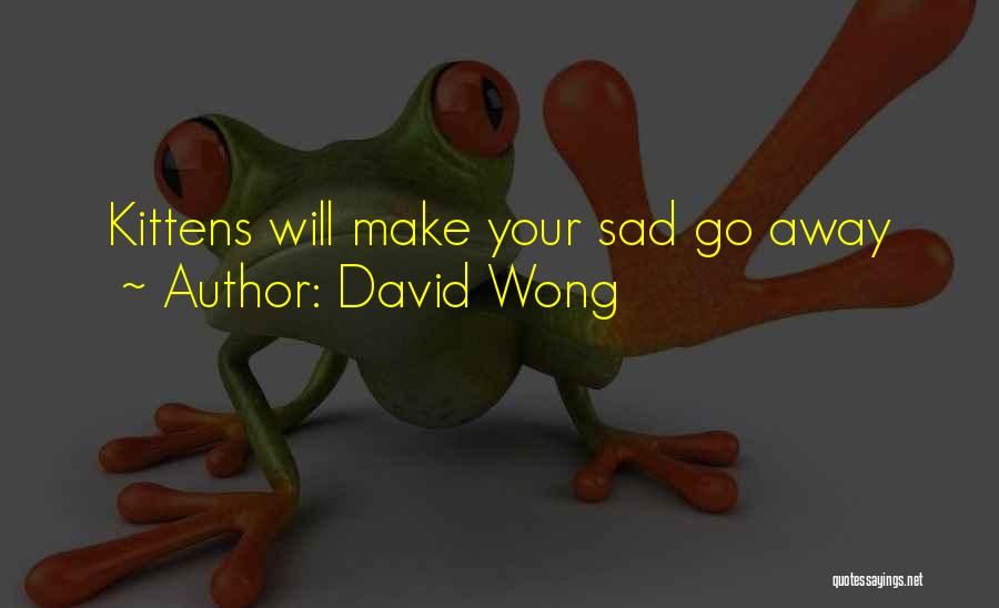David Wong Quotes: Kittens Will Make Your Sad Go Away
