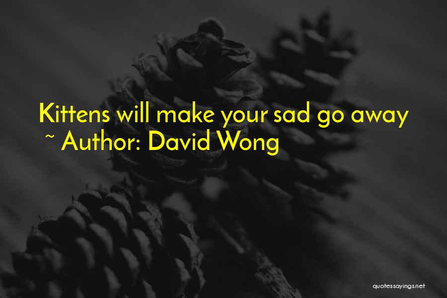 David Wong Quotes: Kittens Will Make Your Sad Go Away