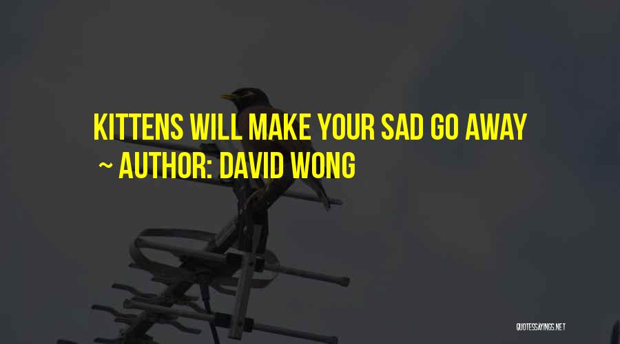 David Wong Quotes: Kittens Will Make Your Sad Go Away