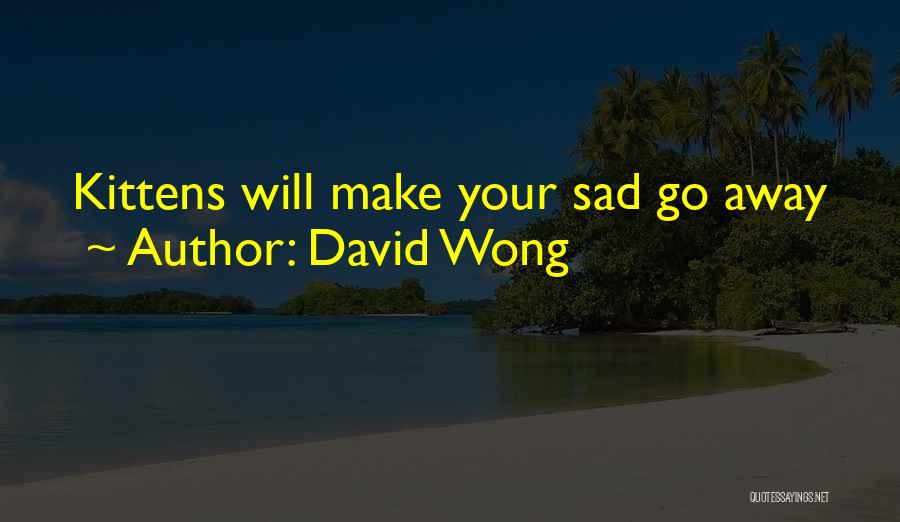 David Wong Quotes: Kittens Will Make Your Sad Go Away