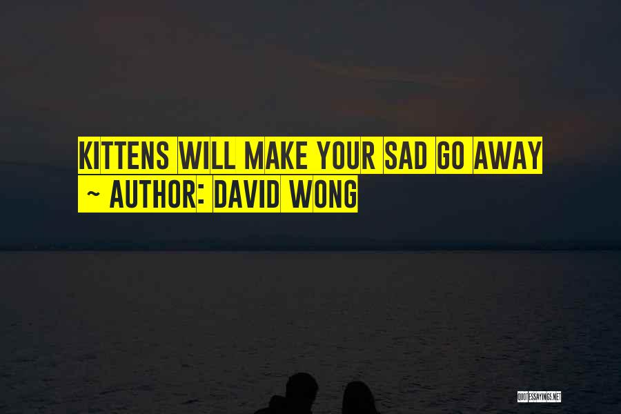 David Wong Quotes: Kittens Will Make Your Sad Go Away