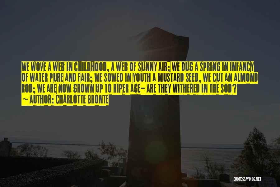 Charlotte Bronte Quotes: We Wove A Web In Childhood, A Web Of Sunny Air; We Dug A Spring In Infancy Of Water Pure