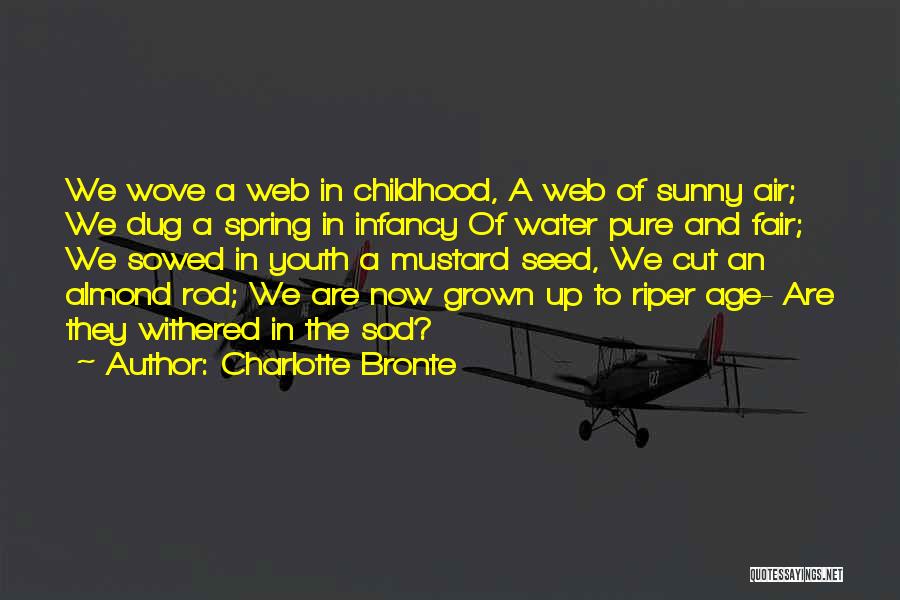 Charlotte Bronte Quotes: We Wove A Web In Childhood, A Web Of Sunny Air; We Dug A Spring In Infancy Of Water Pure