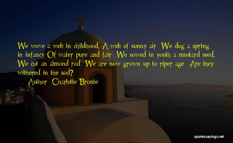 Charlotte Bronte Quotes: We Wove A Web In Childhood, A Web Of Sunny Air; We Dug A Spring In Infancy Of Water Pure