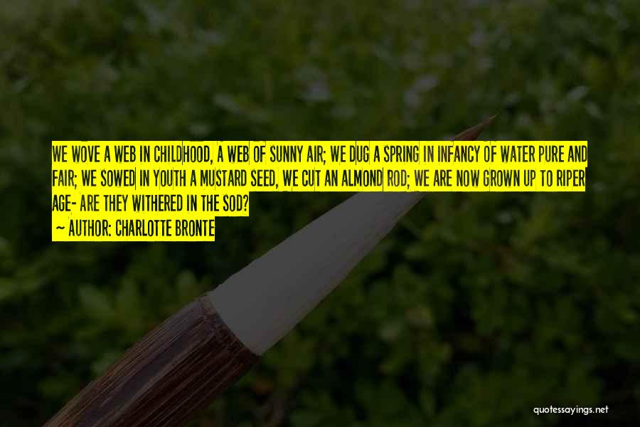 Charlotte Bronte Quotes: We Wove A Web In Childhood, A Web Of Sunny Air; We Dug A Spring In Infancy Of Water Pure