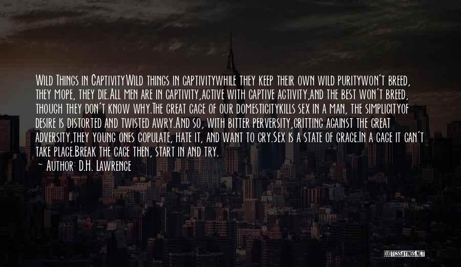 D.H. Lawrence Quotes: Wild Things In Captivitywild Things In Captivitywhile They Keep Their Own Wild Puritywon't Breed, They Mope, They Die.all Men Are