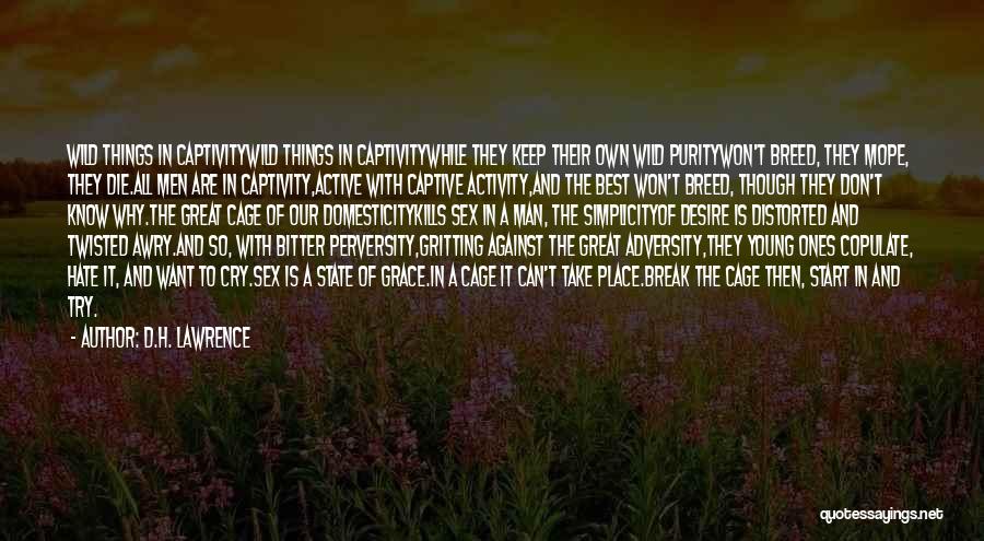 D.H. Lawrence Quotes: Wild Things In Captivitywild Things In Captivitywhile They Keep Their Own Wild Puritywon't Breed, They Mope, They Die.all Men Are