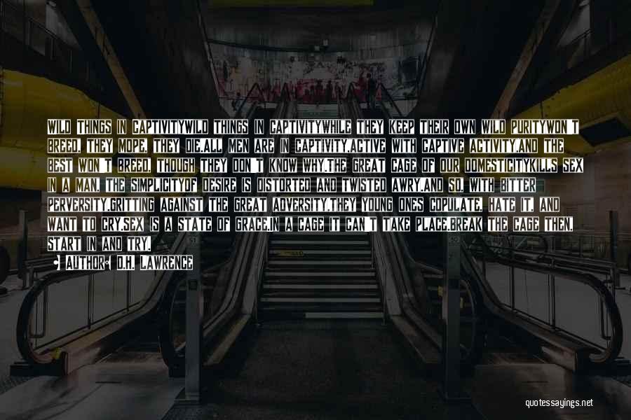 D.H. Lawrence Quotes: Wild Things In Captivitywild Things In Captivitywhile They Keep Their Own Wild Puritywon't Breed, They Mope, They Die.all Men Are