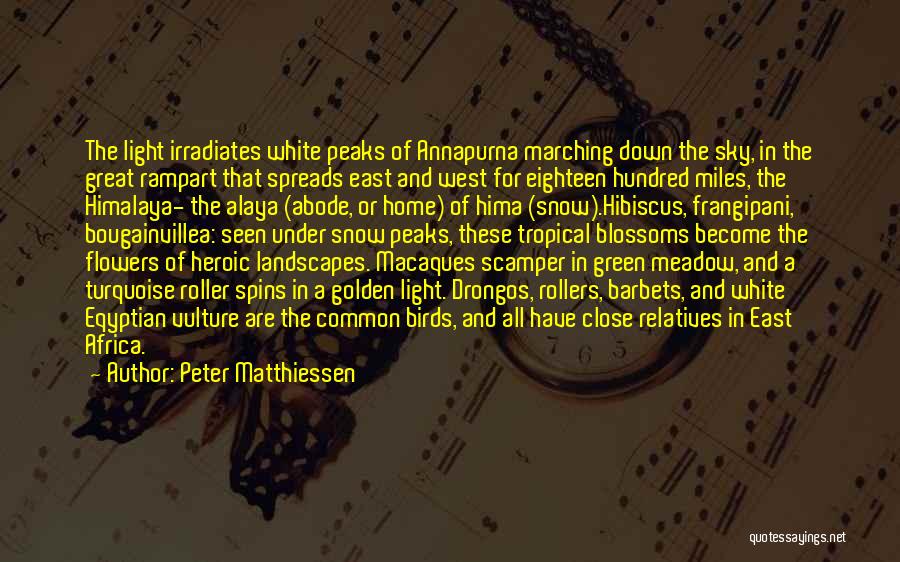 Peter Matthiessen Quotes: The Light Irradiates White Peaks Of Annapurna Marching Down The Sky, In The Great Rampart That Spreads East And West