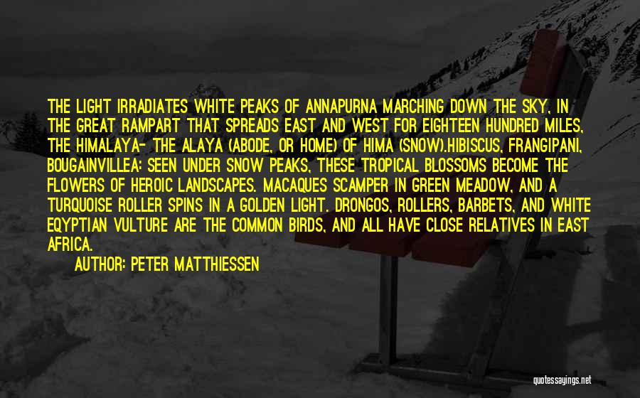 Peter Matthiessen Quotes: The Light Irradiates White Peaks Of Annapurna Marching Down The Sky, In The Great Rampart That Spreads East And West