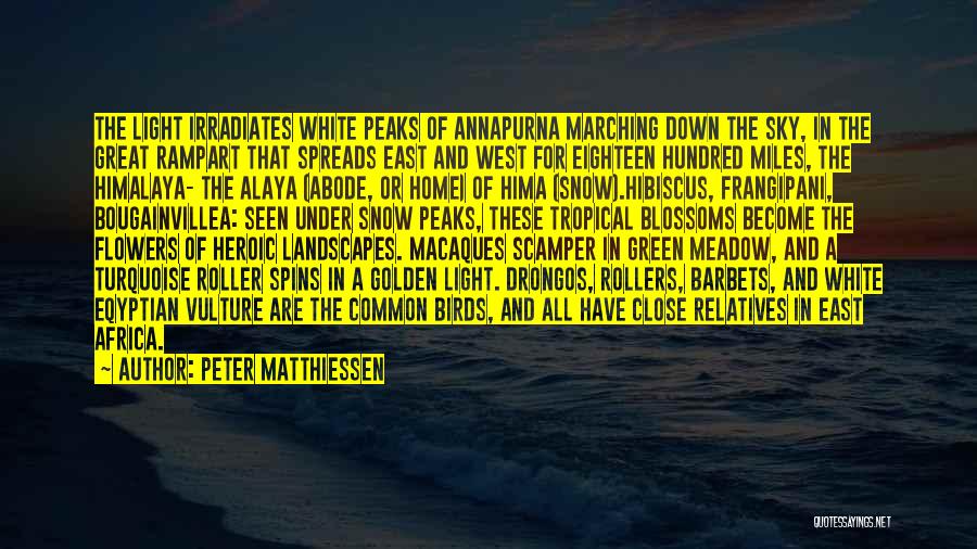 Peter Matthiessen Quotes: The Light Irradiates White Peaks Of Annapurna Marching Down The Sky, In The Great Rampart That Spreads East And West