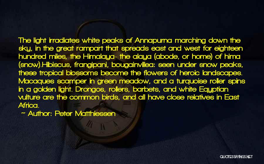 Peter Matthiessen Quotes: The Light Irradiates White Peaks Of Annapurna Marching Down The Sky, In The Great Rampart That Spreads East And West