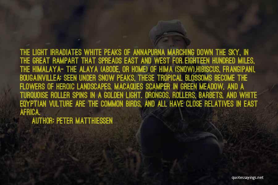 Peter Matthiessen Quotes: The Light Irradiates White Peaks Of Annapurna Marching Down The Sky, In The Great Rampart That Spreads East And West