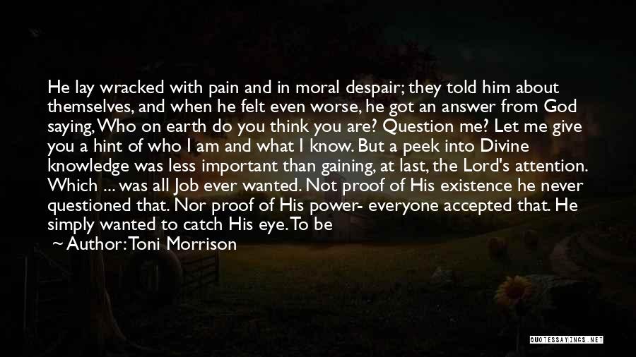 Toni Morrison Quotes: He Lay Wracked With Pain And In Moral Despair; They Told Him About Themselves, And When He Felt Even Worse,