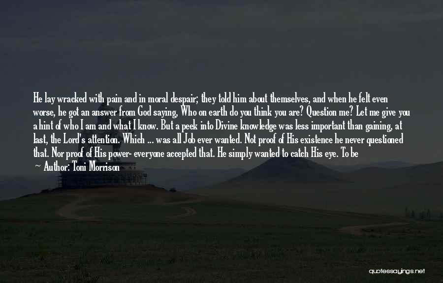 Toni Morrison Quotes: He Lay Wracked With Pain And In Moral Despair; They Told Him About Themselves, And When He Felt Even Worse,