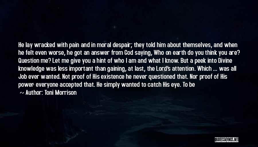 Toni Morrison Quotes: He Lay Wracked With Pain And In Moral Despair; They Told Him About Themselves, And When He Felt Even Worse,