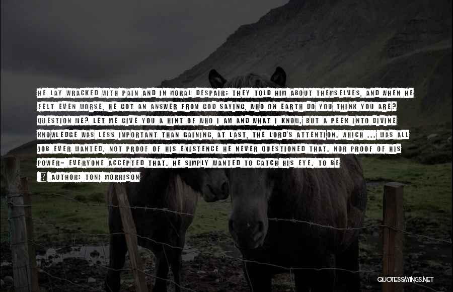 Toni Morrison Quotes: He Lay Wracked With Pain And In Moral Despair; They Told Him About Themselves, And When He Felt Even Worse,