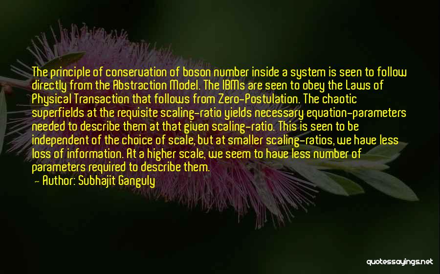 Subhajit Ganguly Quotes: The Principle Of Conservation Of Boson Number Inside A System Is Seen To Follow Directly From The Abstraction Model. The